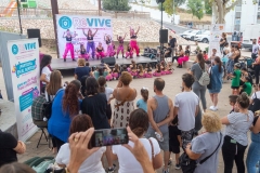 REVIVE-SECTOR-SUR-publicar-2